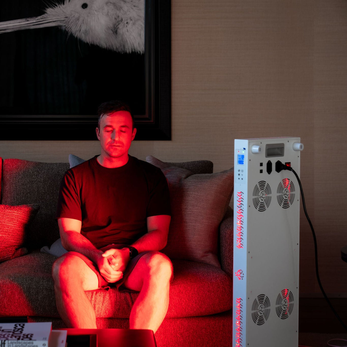 Red Light Therapy Panel | Ora 300